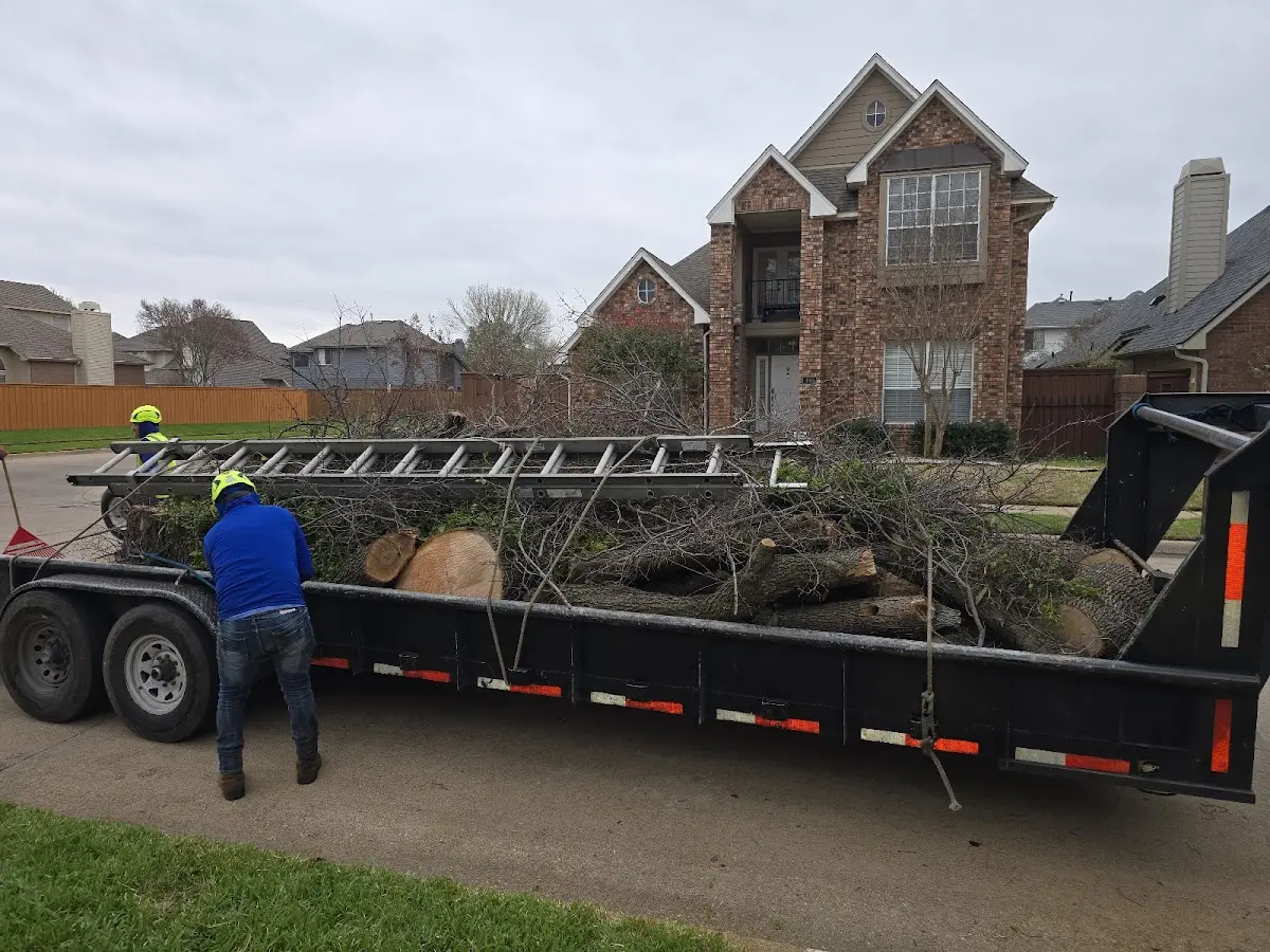 Expert Tree Fertilization with proper safety equipment in Lerna